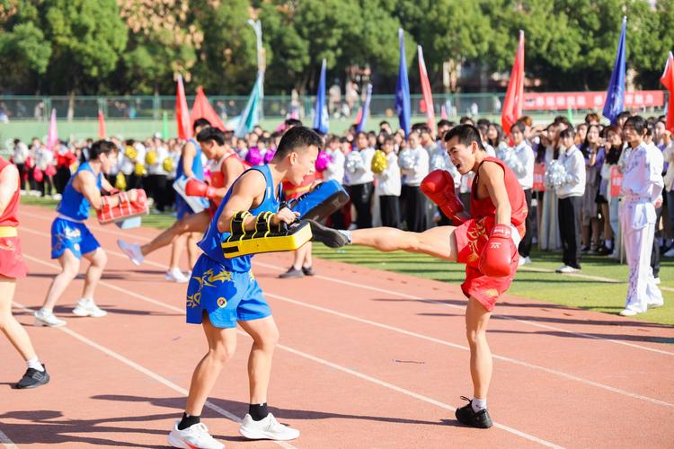 球队往往需 球队往往需