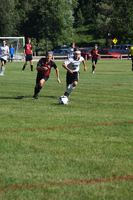 尽管辽宁队 尽管辽宁队