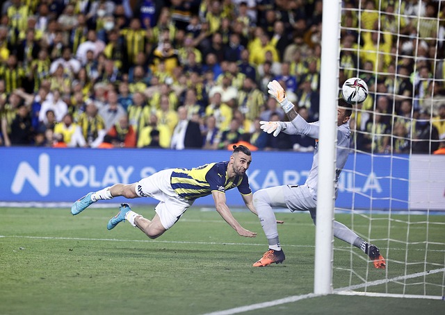 的反击虽然 的反击虽然